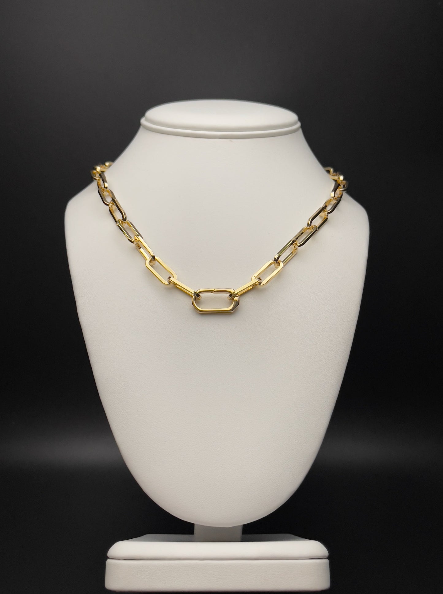 Image of necklace made with paperclip chain.  